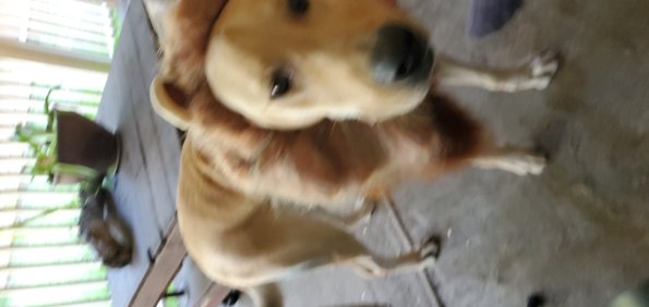 20210421_185401